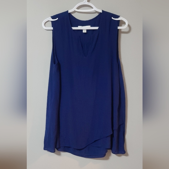 3/$20  Blue Cristina  B sleeveless top size large - Picture 1 of 1